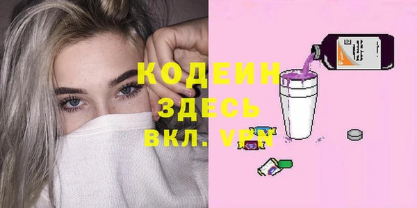 индика Горно-Алтайск