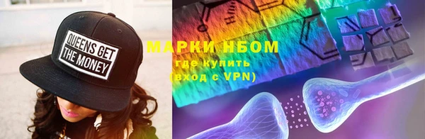 индика Горно-Алтайск