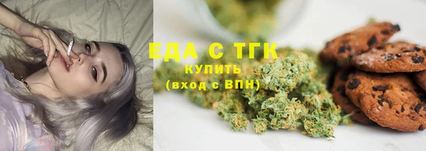 спиды Горняк