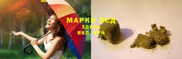 спиды Горняк