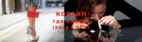 индика Горно-Алтайск