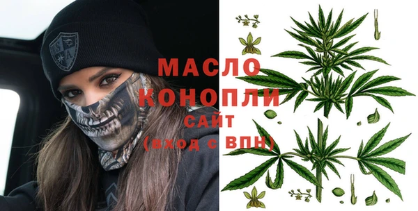 спиды Горняк