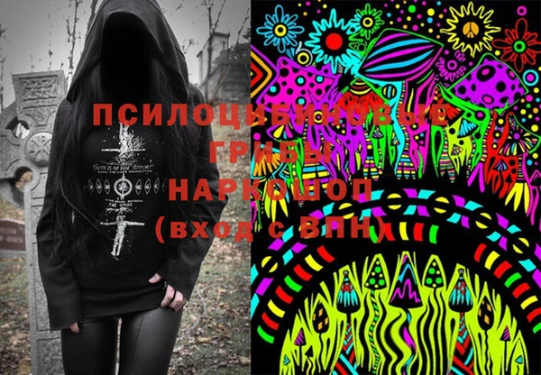 индика Горно-Алтайск