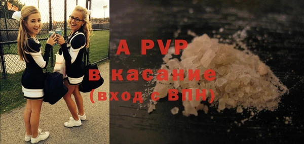 индика Горно-Алтайск