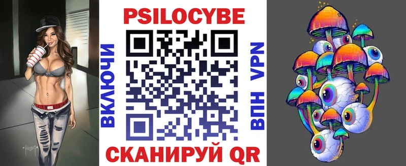 МЕГА tor  Чегем  Псилоцибиновые грибы Psilocybe  купить наркоту 